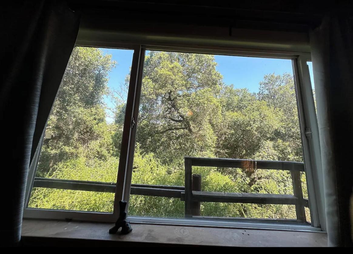 Japanese Tea House With Private Mountain Trails And Creek Villa Topanga Park Exterior photo