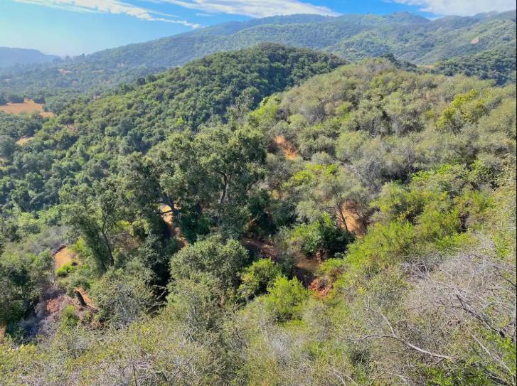 Japanese Tea House With Private Mountain Trails And Creek Villa Topanga Park Exterior photo